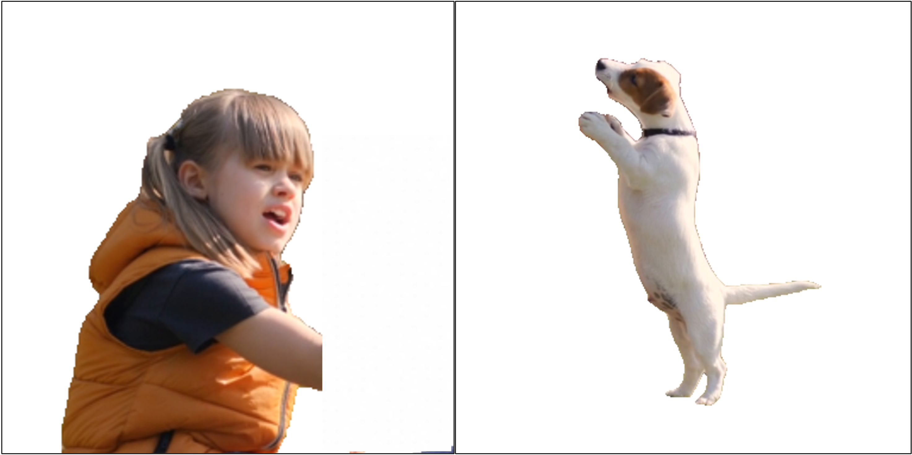Reference Image