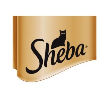 Sheba