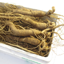 4 pounds of fresh ginseng Changbai Mountain wild ginseng fresh understory ginseng Northeastern wild ginseng soaked in wine fresh ginseng pruned old wild ginseng