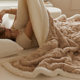 Thickened and warm coral velvet blanket carved double-sided velvet lamb velvet blanket single and double casual nap cover
