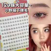 120 Comics Barbie Pussycat Doll Lower Eyelashes ~ Lazy Man Trilogy New Lower Eyelashes Natural Segmented Simulated Eyelashes