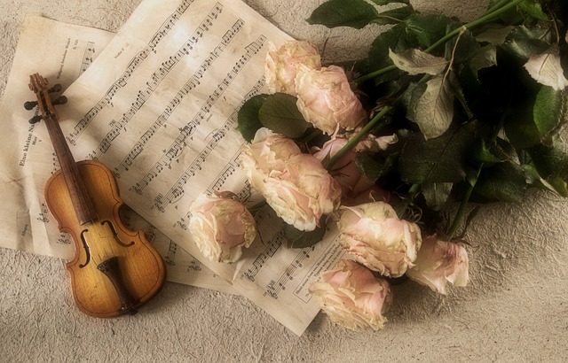 how to spell violin