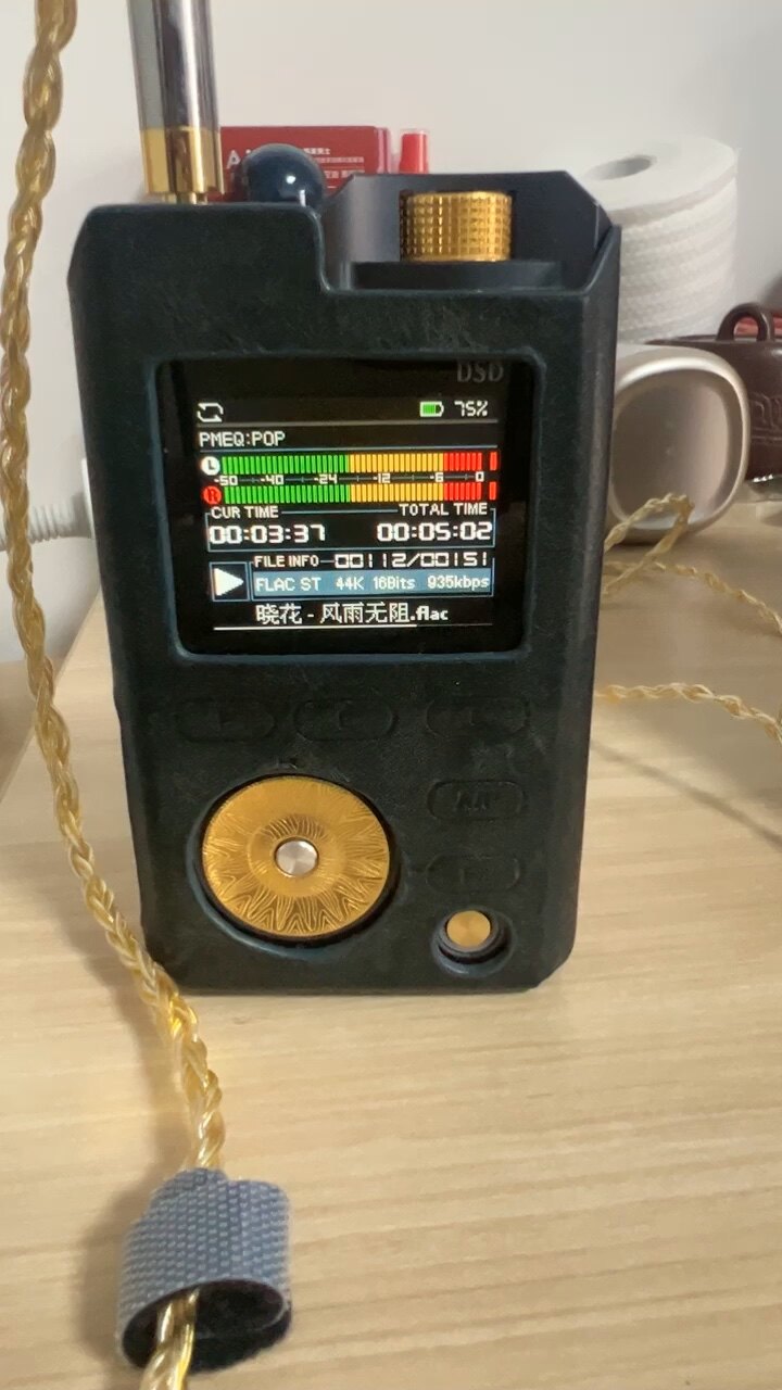 二手Lotoo/乐图PAW GOLD 金菊花小墨菊参考级无损音乐播放器DSD评价- 淘宝网