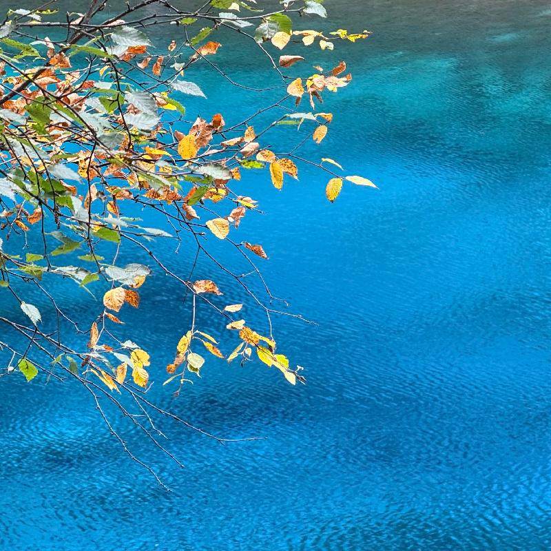 【酒景随心订】2-10天南京自由行,酒店任选+景点任选 - 定制游预订