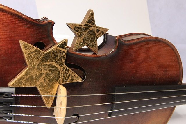 when and where was the violin invented