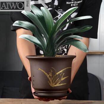Clivia special flower pot yixing purple sand ceramic large home balcony manufacturer self-produced orchid pot