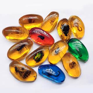 Imitation Amber Insect Specimen Pendant Making Blind Box Resin Glue Children's Textbook Teaching Science Props Ornaments for Students