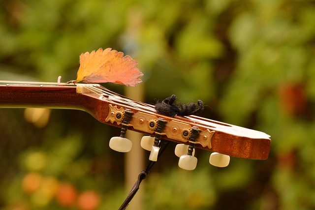 how do you set up a guitar
