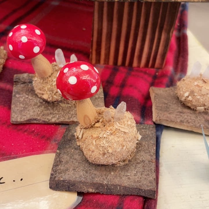 Mushroom Handmade Exhibition Pokémon Wooden Mushroom