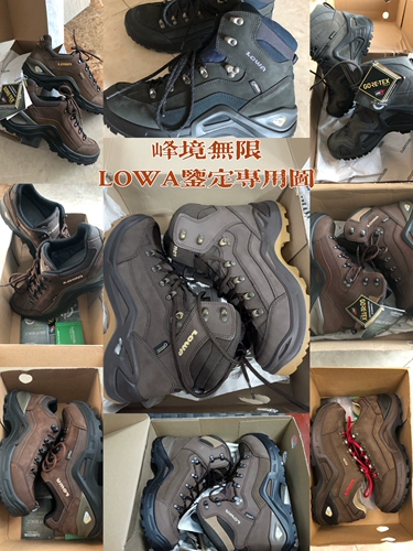 Профессиональная идентификация Lowa Shoes, друзья, которые в ней нуждаются, затем отправьте подробную картину (мытье воды