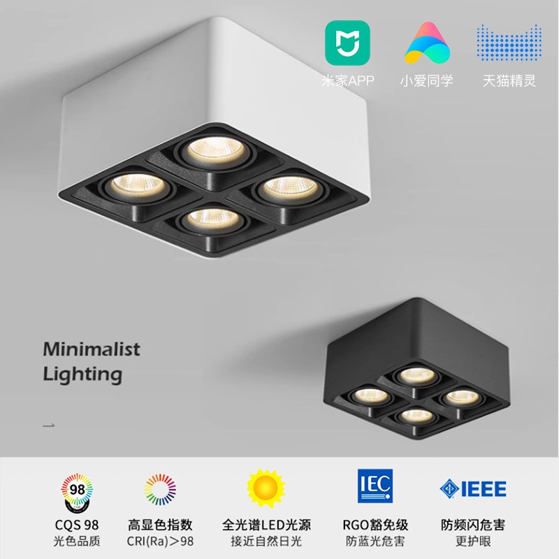 Surface-mounted double-head spotlights, smart suction-type grille bold lamps, no openings, adjustable angle downlights for home living rooms and bedrooms