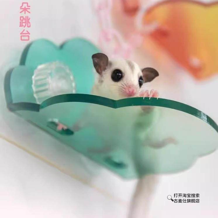 Sugar Glider Flying Platform Take-Off Platform Self-Adhesive Colorful Cloud Platform Climbing Training Toy Flying Training Equipment