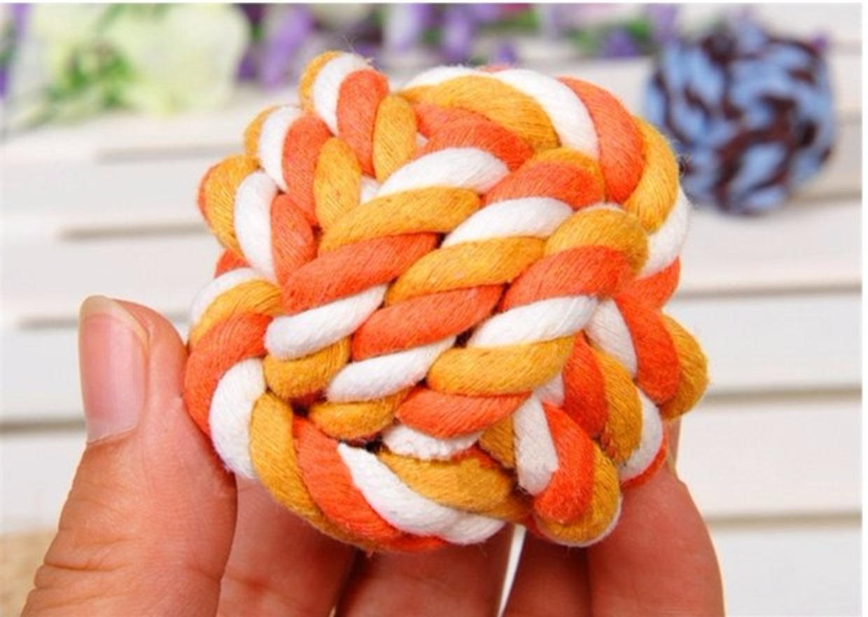Jinmaosamo đồ chơi Teddy chó răng hàm cắn cắn nút chó bóng mèo đồ chơi con chó con vật nuôi - Mèo / Chó Đồ chơi đồ chơi chó