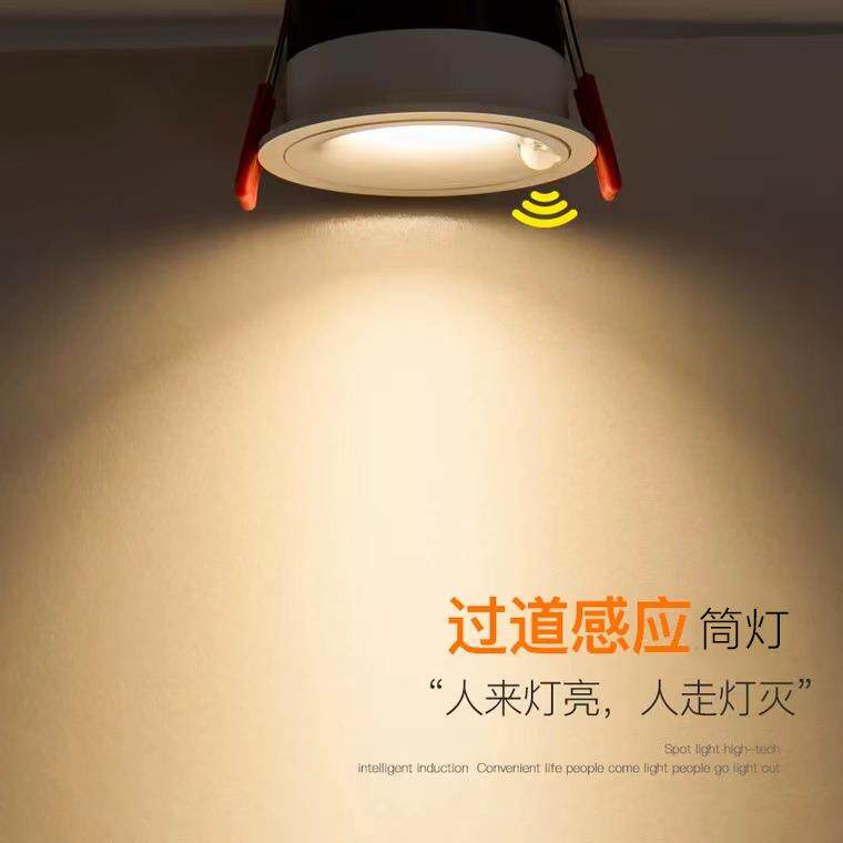 Embedded human body sensor downlight Zhongshan infrared entrance corridor home living room corridor aisle sensor spotlight