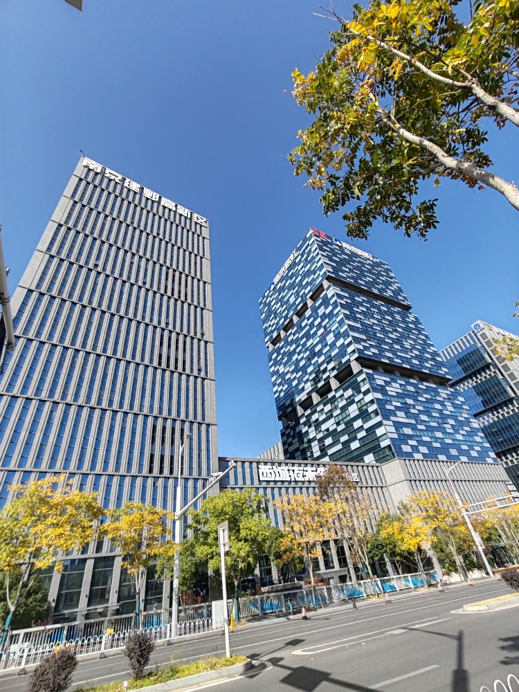 赏秋～赏秋～啊啾～啊啾～