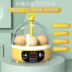 Chicken Egg Incubator, Fully Automatic Incubator, Small Household Type, Mini Children's Incubator, Foreign Trade Smart Incubator