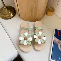 Четыре листового хризантема [зеленый]