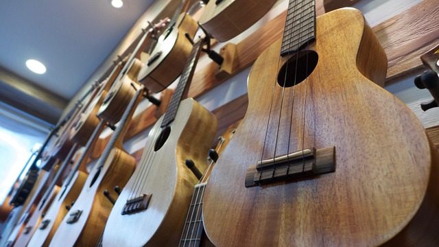 am ukulele