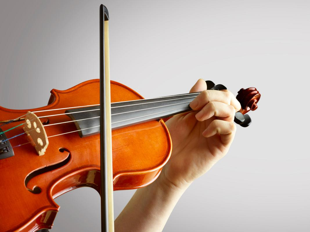 Violin