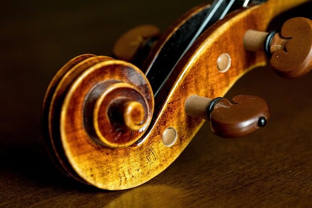 what is the difference between a violin and a viola