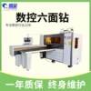 Woodworking whole house panel furniture processing six-sided drilling cabinet door panel cutting and punching automatic labeling CNC cutting machine