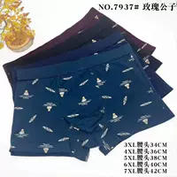 CZ42-7937 Гунцзы чистый хлопок