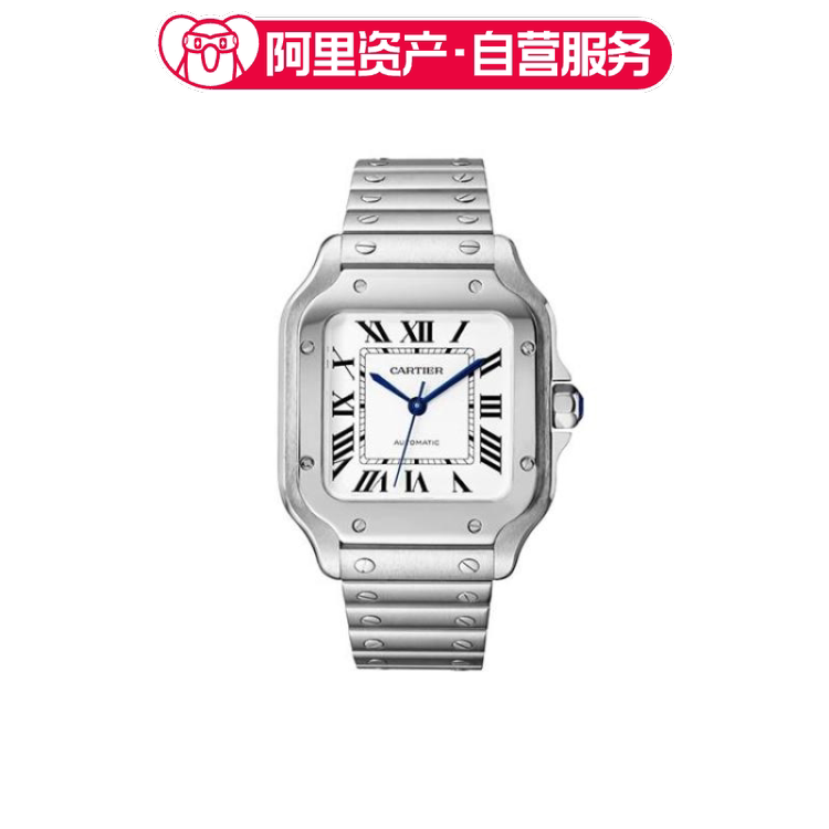 Cartier Santos Series Automatic Mechanical Watch Unisex 35.1mm Wssa0029 Cartier Santos Series Automatic Mechanical Watch Unisex 35.1mm Wssa0029