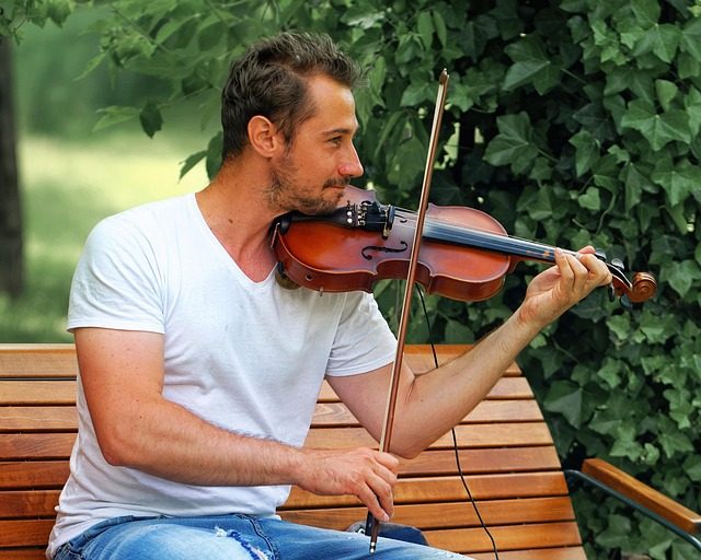 what are the strings on a violin bow called