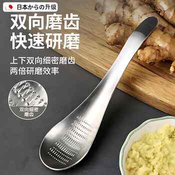 Japanese Ginger Grinding Tool 304 Stainless Steel Ginger Paste Grinding Spoon Manual Tool Ginger Juice Grinder Garlic Paste Press