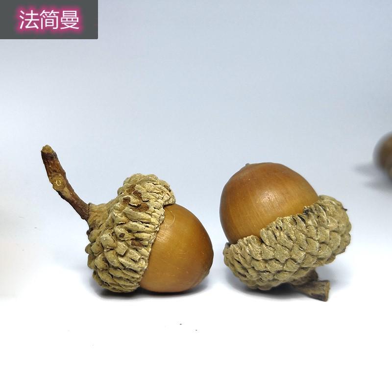 橡橡树果实子天然橡果带壳橡橡树果碗子摆件JTA干花饰品摆件栎树