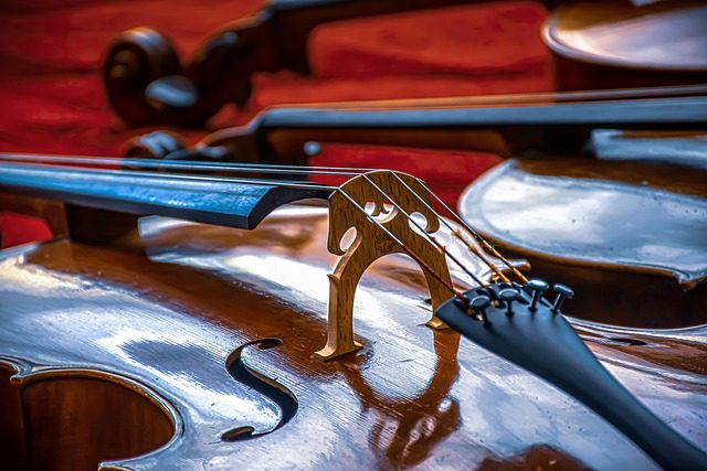 are you gonna be my girl bass