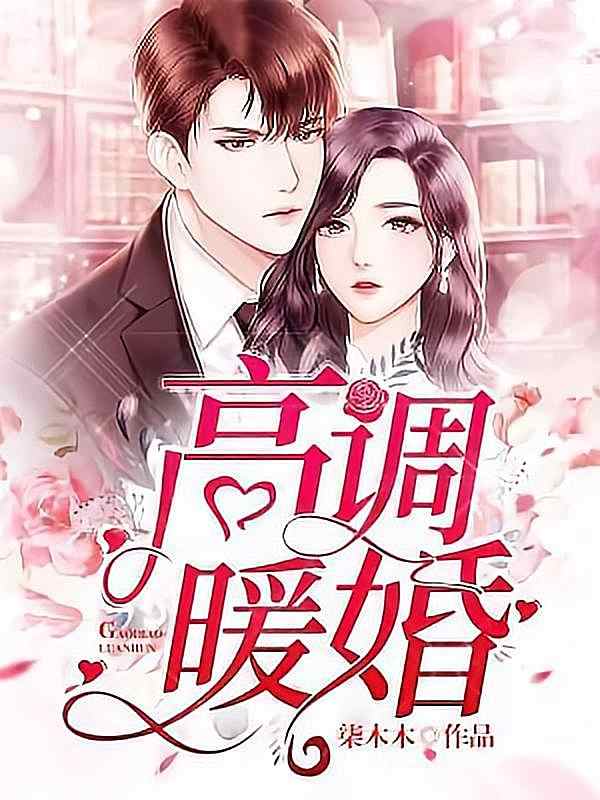 《高调暖婚》小说今日章节正阅读