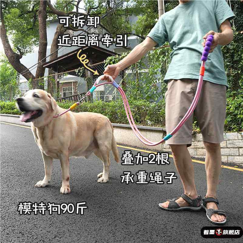 Thickened and Reinforced Large Dog Leash, Anti-Shock Collar, Labrador P Chain, Sturdy Dog Leash for Large Dogs, Double-Layer Rope