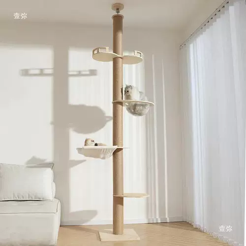 Кошка поднимает стойку тиаааааааааааааааааааааааааааааааааааааааааааааааааааааааааааааааааааааааааааааааааааааааааааааааааааааааааааааааааааааа