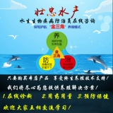 Zhuangzhongqiang Сырое молоко Глубоководное и рыбий жир Аквакультура Добавка кальция для животных для приманки Полностью растворенная гнилая кожа лягушки, черепахи и черепахи