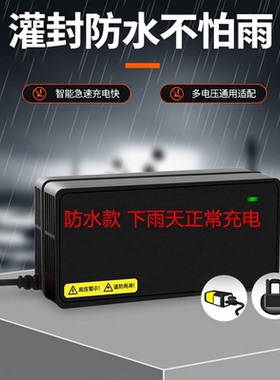 适用台铃灌封板电动车充电器防水48V60V72V4针云插石墨烯通用加长