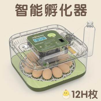 Radius 12 chicks hatching and breeding equipment incubator egg incubator quail incubator intelligent temperature control