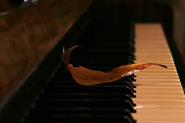 can you feel the love tonight piano