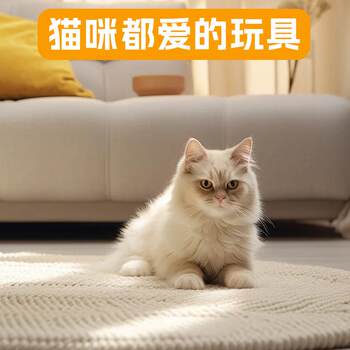 Manufacturer cat tunnel cat funny stick s-type foldable pet toy self-entertainment relief elastic retractable cat toy