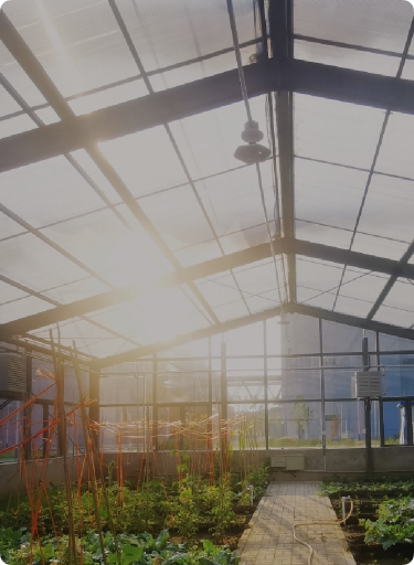 Waste heat recovery