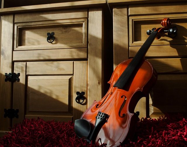 Where to Buy a Violin: Best Stores & Tips 2025