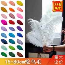 Factory direct sales 15-80cm ostrich feather stage performance white feather wedding DIY decoration ostrich feather