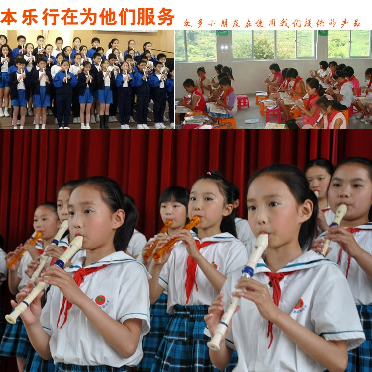 Treble sáo cửa hàng mới bắt đầu nhạc cụ clarinet 6 lỗ f giai điệu 8 lỗ c giai điệu b giai điệu trẻ em học sinh - Nhạc cụ phương Tây đàn bass