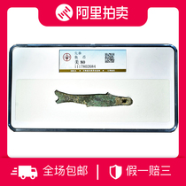 Real shot public blog US 80 Pre-Qin fish coin 1 graded coin Ali auction ancient coins recommended