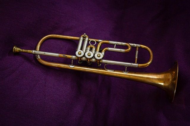 how much are trumpets