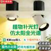Plant fill light spotlight household LED indoor dedicated full spectrum imitation sunlight embedded green plant growth downlight