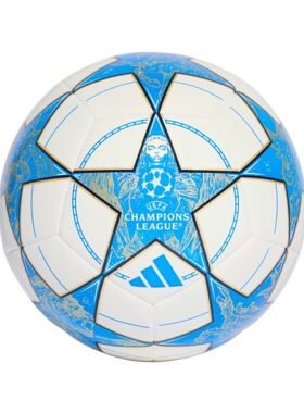 adidas 3号4号5号足球 PU高弹 耐磨 耐用 机缝足球男女同款白蓝色