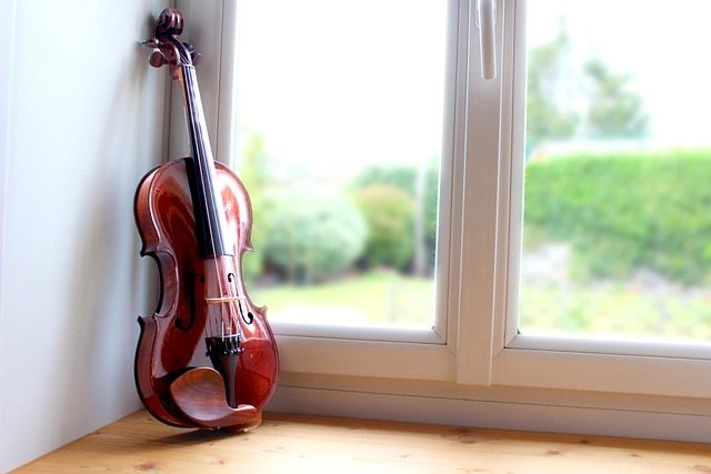 how much does the violin cost