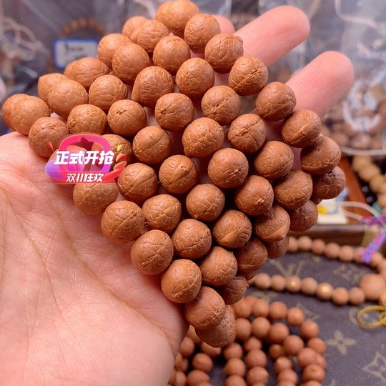 红皮铁籽 11.3-11.7mm