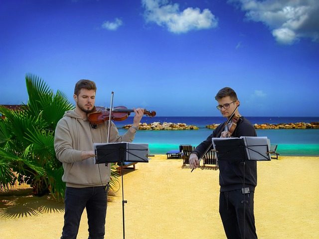 Mass of a Violin D String: Key Facts & Data